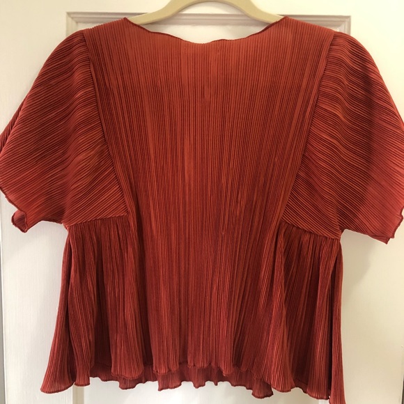 Texture and Thread Micro-pleated Madewell Blouse, Burnt Orange, XS - Picture 2 of 3